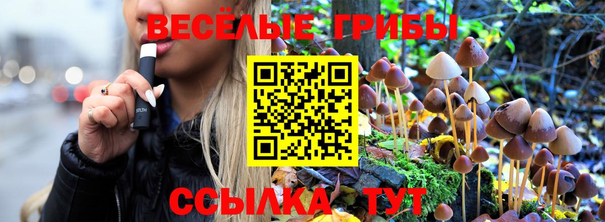 Псилоцибиновые грибы GOLDEN TEACHER  дарнет шоп  Кизляр  Вход с VPN 